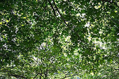 合作冒险《Myrmidon》Steam页面 发售日待定